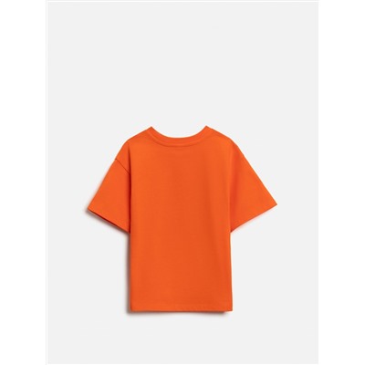 Acoola Футболка 20120510255