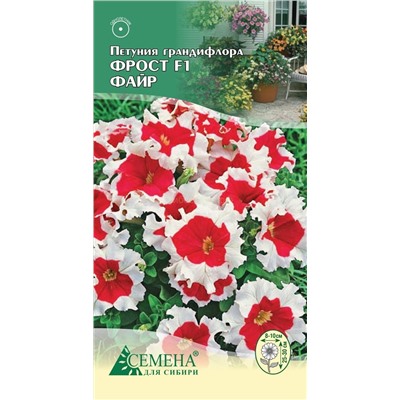 Петуния Фрост Файр F1, 10сем (цв.)