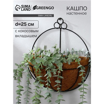Кашпо настенное, d=25 см, с кокосовым вкладышем, «Полусфера», Greengo