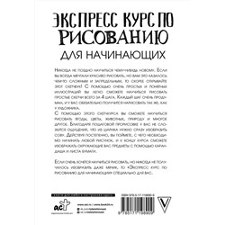 АСТ Мистер Грей "Экспресс-курс по рисованию для начинающих"