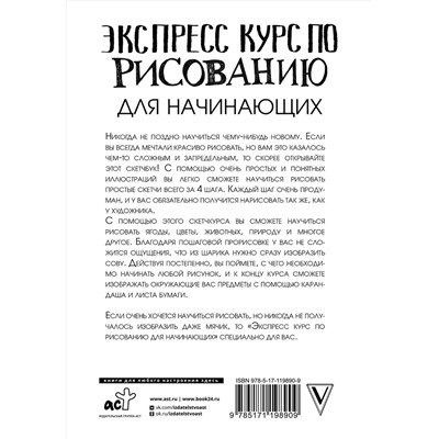 АСТ Мистер Грей "Экспресс-курс по рисованию для начинающих"