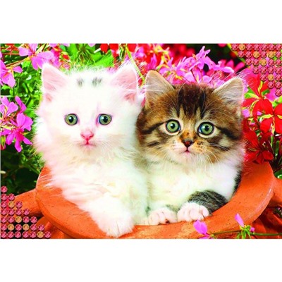 Алмазная мозаика с полным заполнением на холсте «Котята», 22×32 см