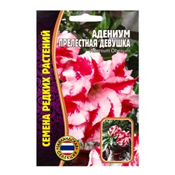 Семена цветов Адениум Прелестная Девушка  3 шт. 12.29 г.