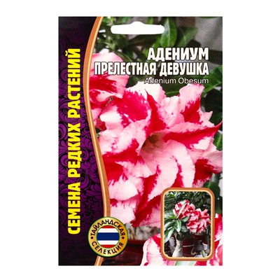 Семена цветов Адениум Прелестная Девушка  3 шт. 12.29 г.