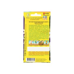 Набор семян Петуния "Хлоя", F1, крупноцветковая, смесь окрасок,, 5 шт.