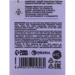 Подарочный набор «Защита цвета»: шампунь 250 мл, бальзам 250 мл, Ural Lab