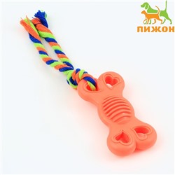 Игрушка жевательная с канатом «Косточка на привязи», 9.5 см, розовая