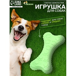Игрушка жевательная «Собачье удовольствие», TPR, 10.5 см, зелёная
