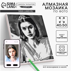 Алмазная мозаика по фото с полным заполнением «Gray», на холсте с подрамником, 40×50 см