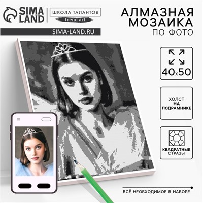 Алмазная мозаика по фото с полным заполнением «Gray», на холсте с подрамником, 40×50 см