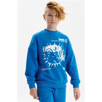 Толстовка для мальчиков PELICAN, 1232796