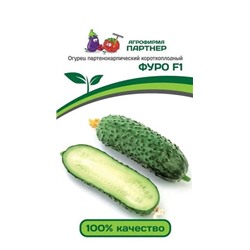 3096P Огурец ФУРО F1 5 шт