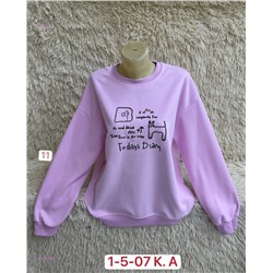 Толстовка 2050268-1