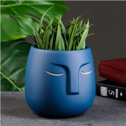 Горшок для цветов «Мистер Твикс» керамический, 1 л, 12×12×12 см, голубой
