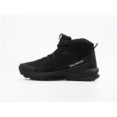 Ботинки Salomon ELIXIR MID GTX