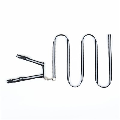 Комплект для кошек светоотражающий, ширина 1 см, шлейка 21-35 см, поводок 120 см, чёрный