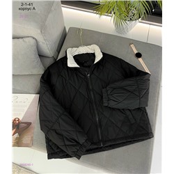 Куртка весна 2058260-1