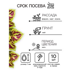 Семена цветов Колеус "Фейерверк" Мозаика F1, О, 10 шт