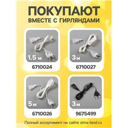 УЦЕНКА Гирлянда «Нить», 5 м, с насадками «Футбольный мяч», серебристая нить, 20 LED, 220 В, 8 режимов, свечение теплое белое