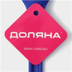 Набор кухонных принадлежностей Доляна «Глори», 3 шт., синий