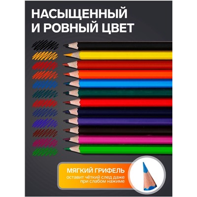 Карандаши цветные, 12 цветов, Calligrata TOP, шестигранные, пластиковые