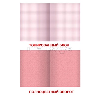 Тетрадь 48л. клетка. "Wonderful" Дизайн 6, тонированный блок,обложка мелов картон