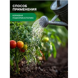 Органическое удобрение Конский навоз, экстракт, канистра, Ивановское, 3 л
