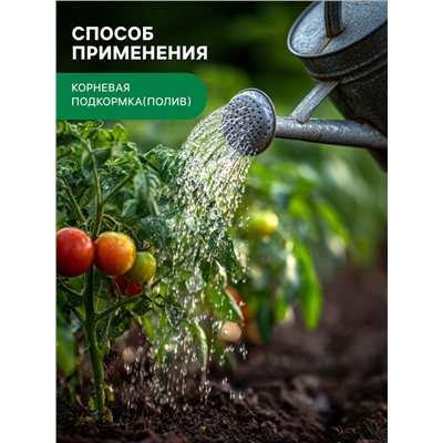 Органическое удобрение Конский навоз, экстракт, канистра, Ивановское, 3 л