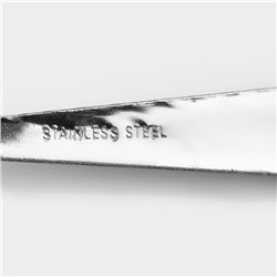 Набор столовых ложек из нержавеющей стали Доляна «Колосок», длина 20.5 см, толщина 2 мм, 6 шт., серебристый