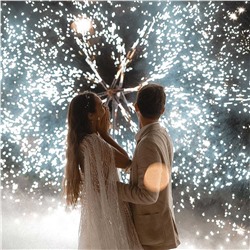 Фейерверк-шоу: пиротехническая композиция "Цветок"