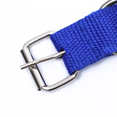 Ошейник двухслойный с вертлюгом, 55×2.5 см, полиэстер, синий