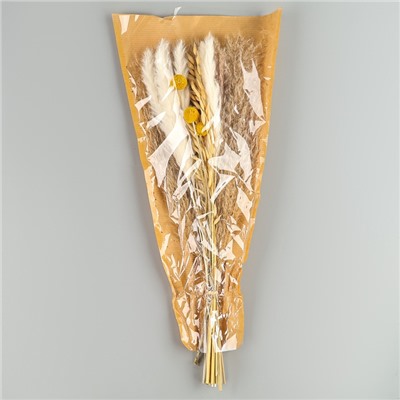 Сухоцветы «Сказка», набор из 4 видов, 48×16×6 см