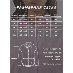 Женская рубашка оверсайз в полоску CRACPOT