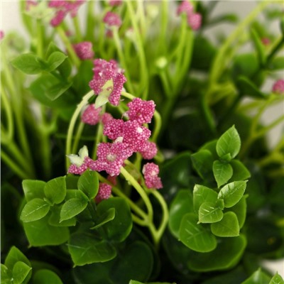 Искусственный цветок в горшке «Фиалка химера», 8×17 см, МИКС