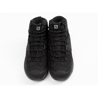 Зимние Ботинки Salomon Quest 4 GTX