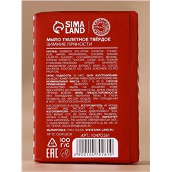 Новогодний подарочный набор косметики «Снегопад чудес»: мыло для рук кусковое 100 г и мочалка для тела, URAL LAB