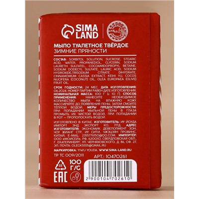 Новогодний подарочный набор косметики «Снегопад чудес»: мыло для рук кусковое 100 г и мочалка для тела, URAL LAB