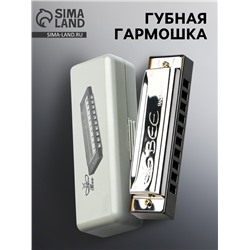 Губная гармошка, диатоническая, 10 отверстий, c-major, с футляром, серебристая