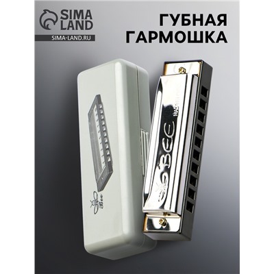 Губная гармошка, диатоническая, 10 отверстий, c-major, с футляром, серебристая
