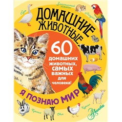 АСТ . "Домашние животные"