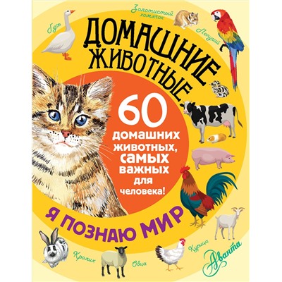 АСТ . "Домашние животные"
