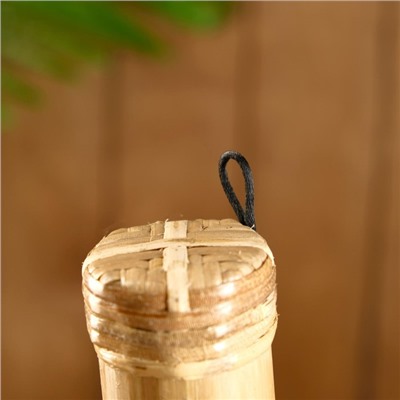 Сувенирный музыкальный инструмент «Посох дождя», 50 см, МИКС