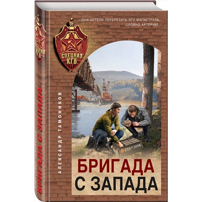 Эксмо Александр Тамоников "Бригада с запада"