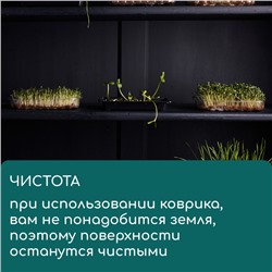 Коврик из кокосового волокна, для выращивания микрозелени, 50×25 см, Greengo