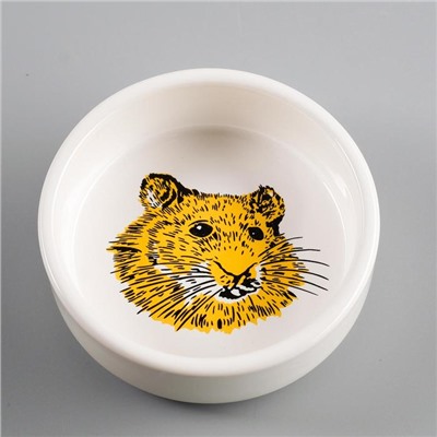 Миска для грызунов «Сытая мордочка», 80 мл 8.5×3 см, керамика, белая