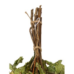 Веник для бани, дубовый