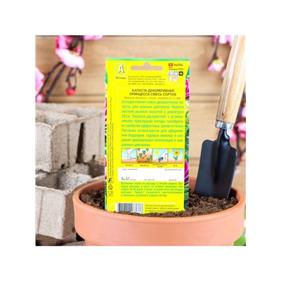 Набор семян Капуста декоративная "Принцесса", смесь окрасок, О, 5 шт.