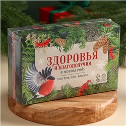Подарочный набор новогодний «Здоровья и благополучия в новом году»: сбор трав 3 шт.×20 г, варенье из сосновых шишек 100 мл.