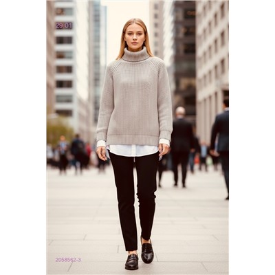 Свитер водолазка 2058562-3