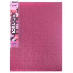Папка пластиковая 2 кольца "Trend ICEberries" 700мкм 25 мм брусника EC211320070 Expert Complete